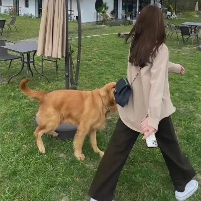牠不重，牠是我宝贝2